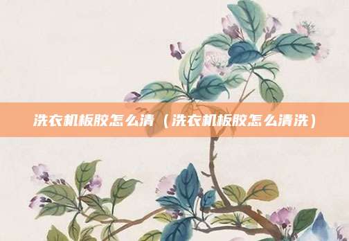 洗衣机板胶怎么清（洗衣机板胶怎么清洗）