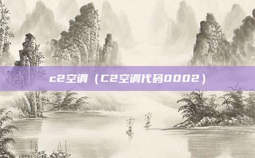 c2空调（C2空调代码0002）