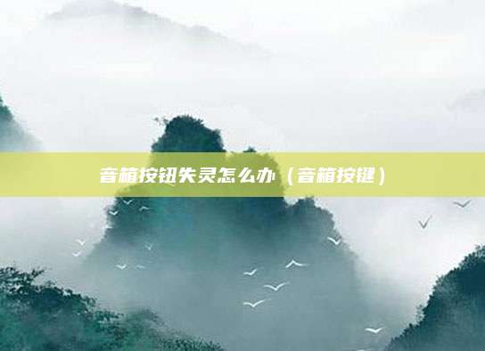 音箱按钮失灵怎么办（音箱按键）