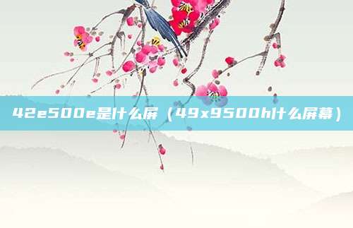 42e500e是什么屏（49x9500h什么屏幕）