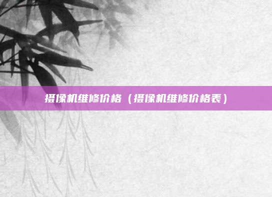 摄像机维修价格（摄像机维修价格表）