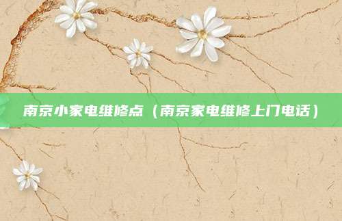 南京小家电维修点(南京家电维修上门电话)