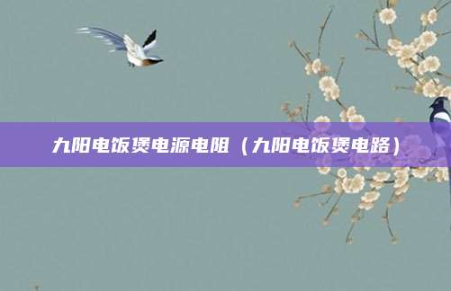 九阳电饭煲电源电阻（九阳电饭煲电路）