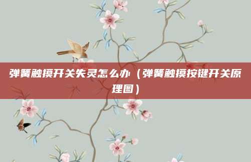 弹簧触摸开关失灵怎么办（弹簧触摸按键开关原理图）