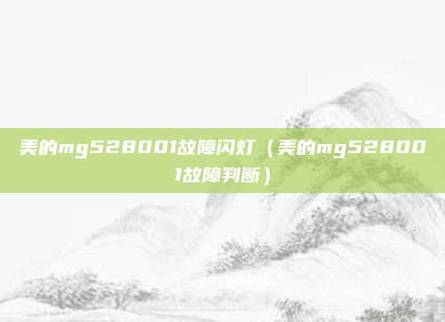 美的mg528001故障闪灯（美的mg528001故障判断）