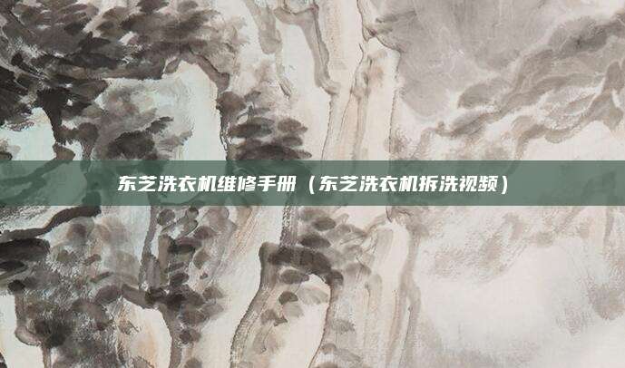 东芝洗衣机维修手册（东芝洗衣机拆洗视频）