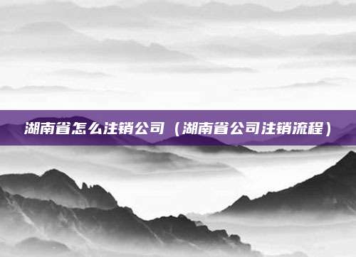 湖南省怎么注销公司（湖南省公司注销流程）