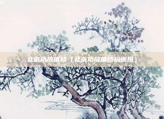 北京功放维修（北京功放维修培训班）