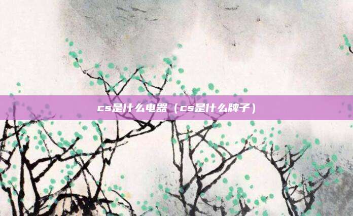 cs是什么电器（cs是什么牌子）