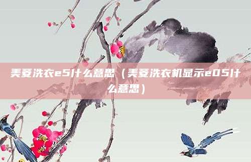美菱洗衣e5什么意思（美菱洗衣机显示e05什么意思）