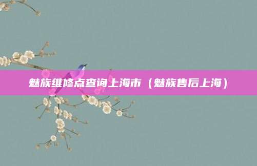 魅族维修点查询上海市（魅族售后上海）