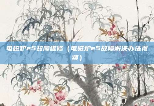 电磁炉e5故障维修(电磁炉e5故障解决办法视频)