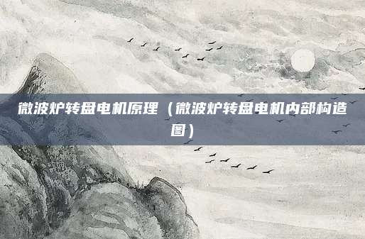 微波炉转盘电机原理（微波炉转盘电机内部构造图）