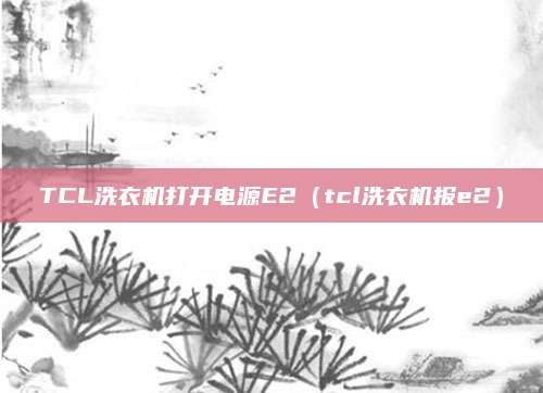 TCL洗衣机打开电源E2(tcl洗衣机报e2)