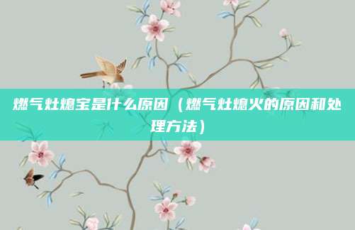 燃气灶熄宝是什么原因（燃气灶熄火的原因和处理方法）