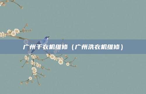 广州干衣机维修（广州洗衣机维修）