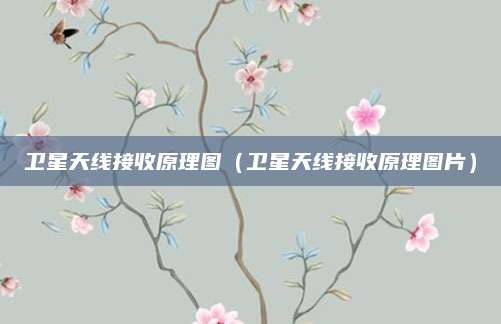 卫星天线接收原理图（卫星天线接收原理图片）