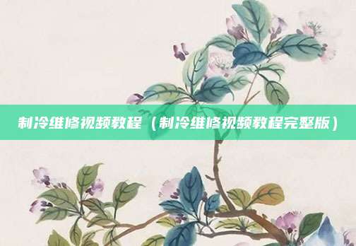 制冷维修视频教程（制冷维修视频教程完整版）