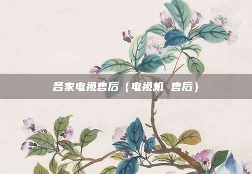 各家电视售后(电视机 售后)