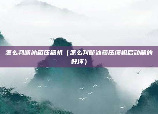 怎么判断冰箱压缩机（怎么判断冰箱压缩机启动器的好坏）