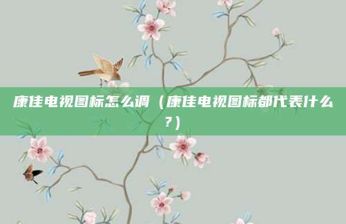 康佳电视图标怎么调（康佳电视图标都代表什么?）