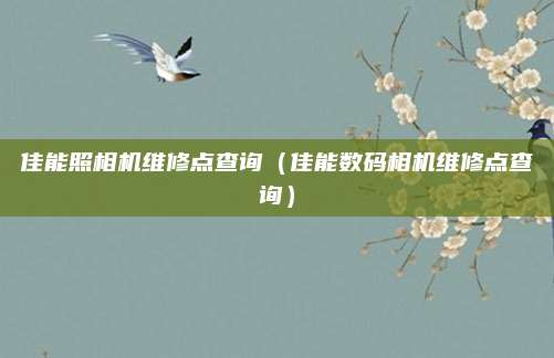 佳能照相机维修点查询(佳能数码相机维修点查询)