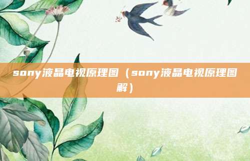 sony液晶电视原理图(sony液晶电视原理图解)
