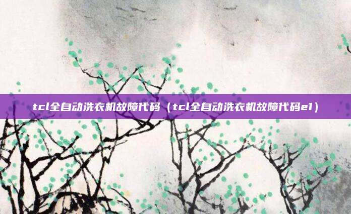tcl全自动洗衣机故障代码（tcl全自动洗衣机故障代码e1）