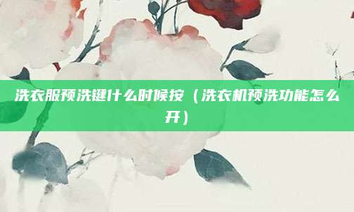 洗衣服预洗键什么时候按（洗衣机预洗功能怎么开）