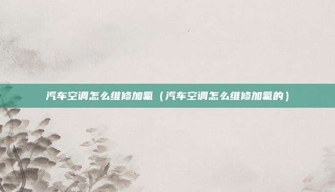 汽车空调怎么维修加氟(汽车空调怎么维修加氟的)