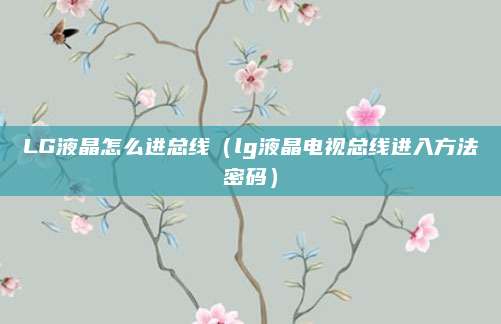 LG液晶怎么进总线（lg液晶电视总线进入方法密码）