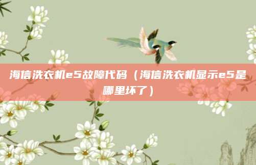 海信洗衣机e5故障代码（海信洗衣机显示e5是哪里坏了）