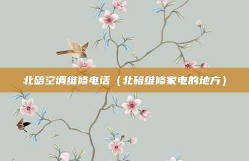 北碚空调维修电话（北碚维修家电的地方）