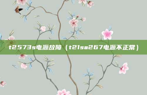 t2573s电源故障（t21sa267电源不正常）