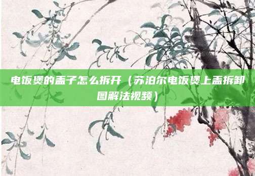 电饭煲的盖子怎么拆开（苏泊尔电饭煲上盖拆卸图解法视频）
