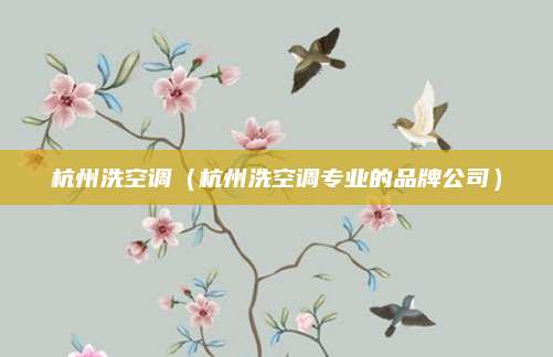 杭州洗空调（杭州洗空调专业的品牌公司）