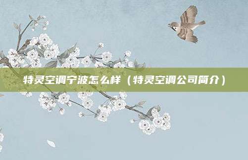 特灵空调宁波怎么样（特灵空调公司简介）