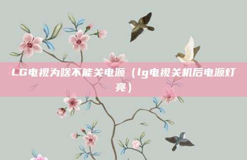 LG电视为啥不能关电源（lg电视关机后电源灯亮）