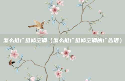 怎么推广维修空调(怎么推广维修空调的广告语)