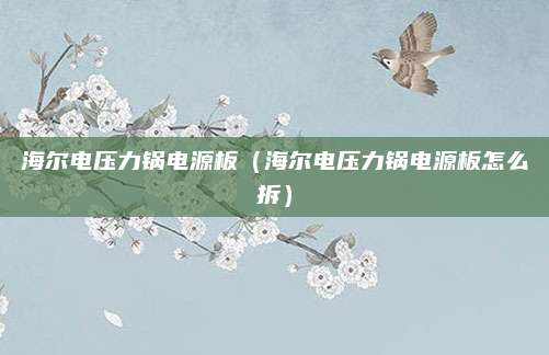 海尔电压力锅电源板(海尔电压力锅电源板怎么拆)
