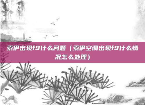 索伊出现f9什么问题（索伊空调出现f9什么情况怎么处理）