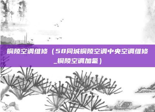 铜陵空调维修（58同城铜陵空调中央空调维修_铜陵空调加氟）