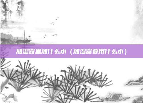 加湿器里加什么水(加湿器要用什么水)