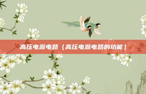 高压电源电路（高压电源电路的功能）