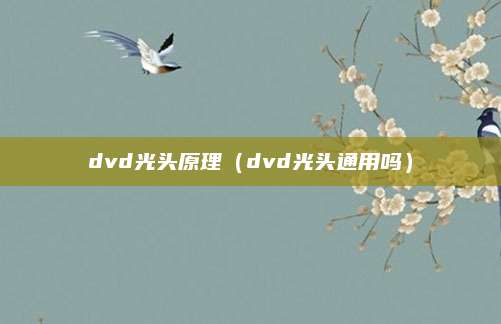 dvd光头原理（dvd光头通用吗）