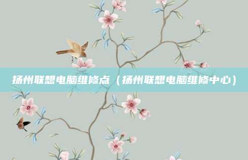 扬州联想电脑维修点（扬州联想电脑维修中心）