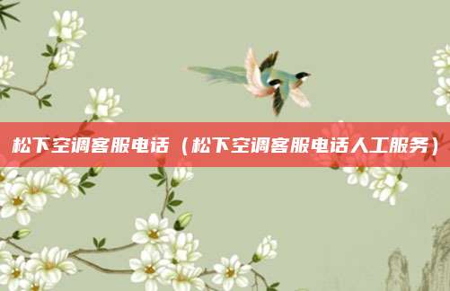 松下空调客服电话(松下空调客服电话人工服务)