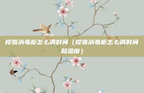 樱雪消毒柜怎么调时间(樱雪消毒柜怎么调时间和温度)