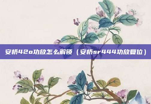 安桥42o功放怎么解锁(安桥sr444功放复位)
