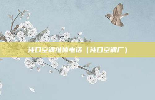 沌口空调维修电话(沌口空调厂)